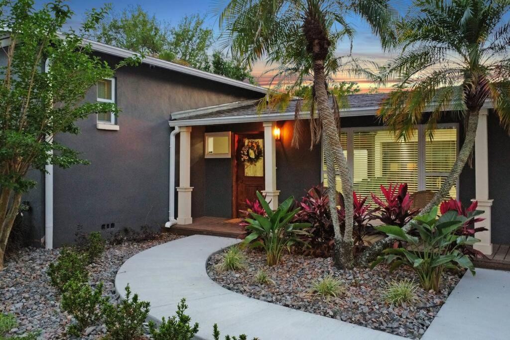 Palm Tree Paradise Tampa Pool Home Exterior foto